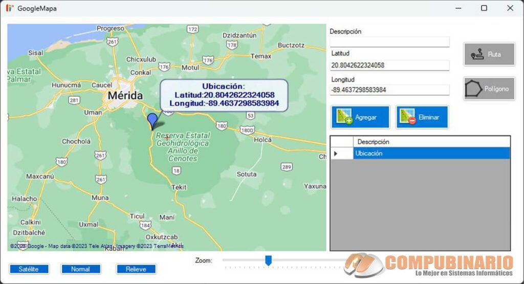 Sistema de Ubicaciones de Google Maps en C Sharp